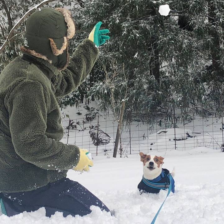 11c51294 a702 4d9c a27b 15fa3f322b8b 1645521118450