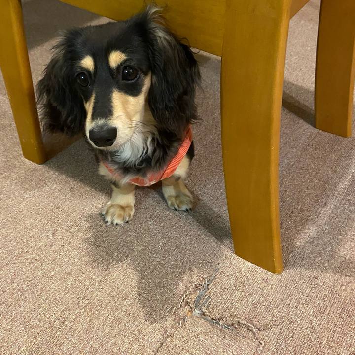 11c5133d c4c6 4899 8a1d 6c2d51527992 1676978133431