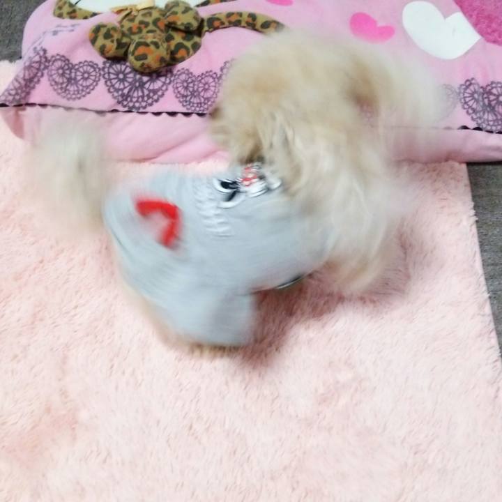 11c52c66 fd75 43da ad09 4c97a1909d53 1539259935627