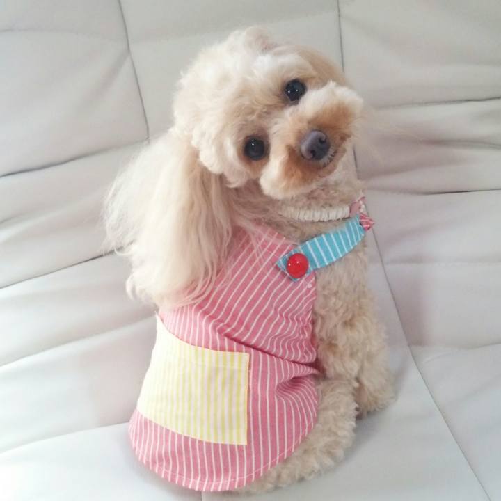 11c52e0d 6456 40bf aba3 4fadd8ccd19c 1522482870845