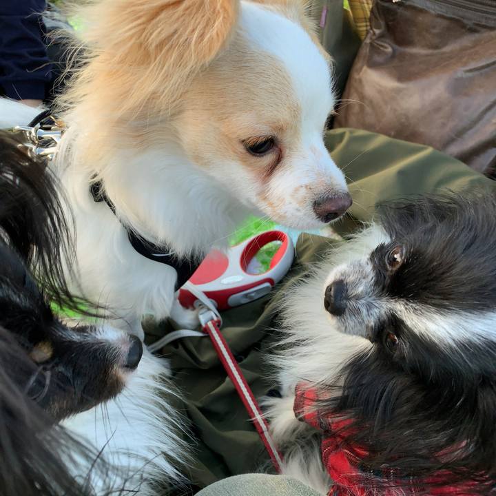 11c52ee4 239a 4ee0 b783 680d18b60fb5 1543663866252