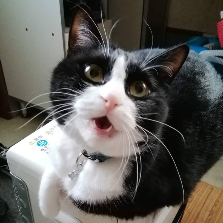 11c54c83 d24c 4ddb bfdd 3c9146a3284e 1615175141272