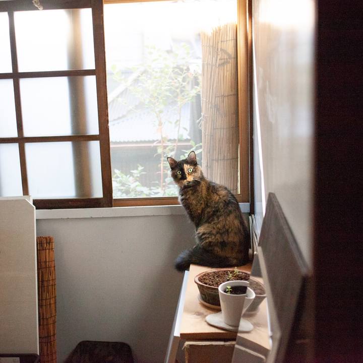 11c58b03 d3f2 41b5 a502 8587f0f7b413 1573741579981