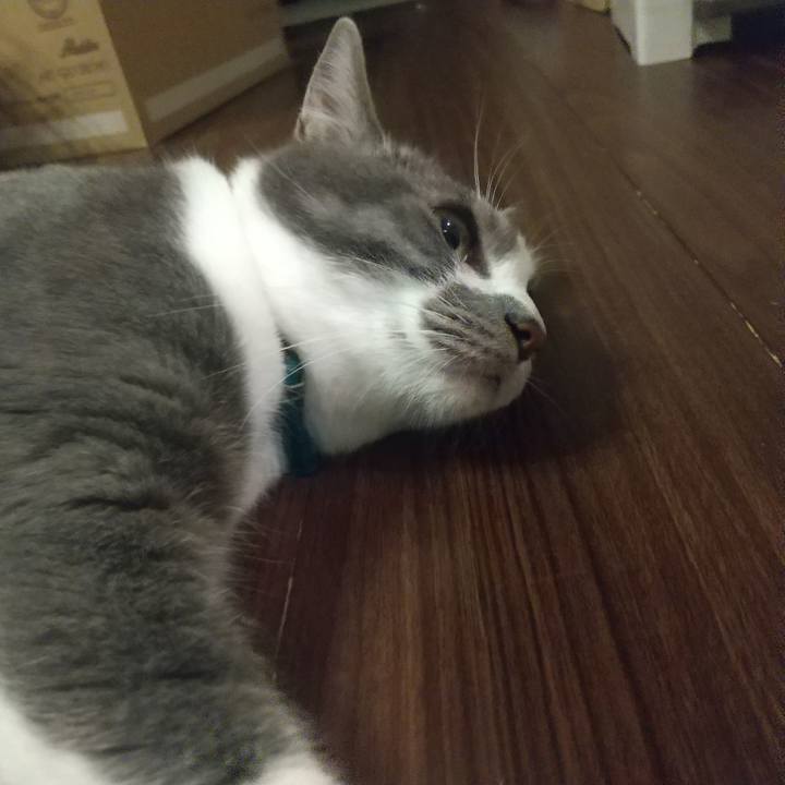 11c5cec1 a2af 45c2 994b 556853fcfffb 1624016012548