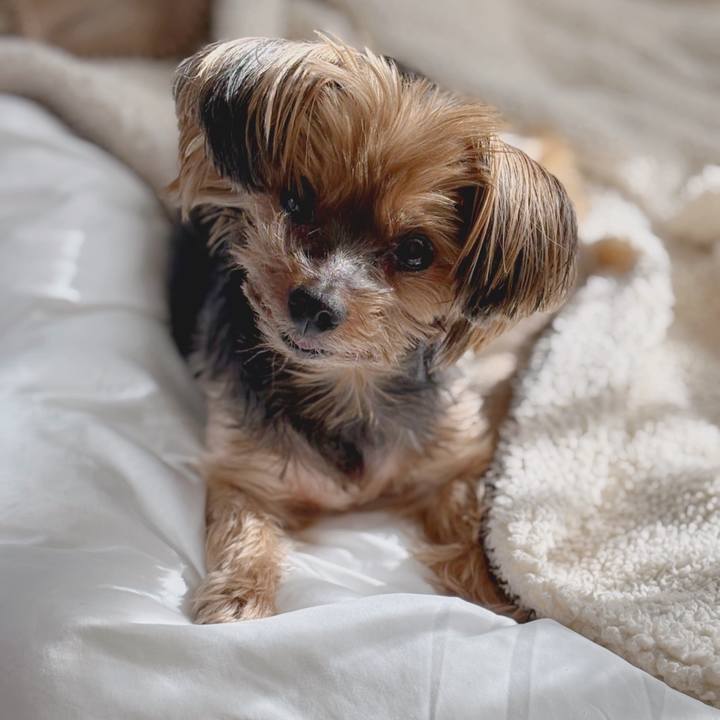 11c5dfba b452 41b2 b2b9 57afef0e73fb 1732928868968