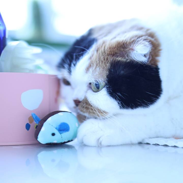 11c5ec2f e15d 4ff9 b675 a7b5ef0a0c1f 1687578583152