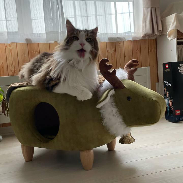 11c5f3fa 0587 4a4e a3d1 10632b5611ac 1680646143290