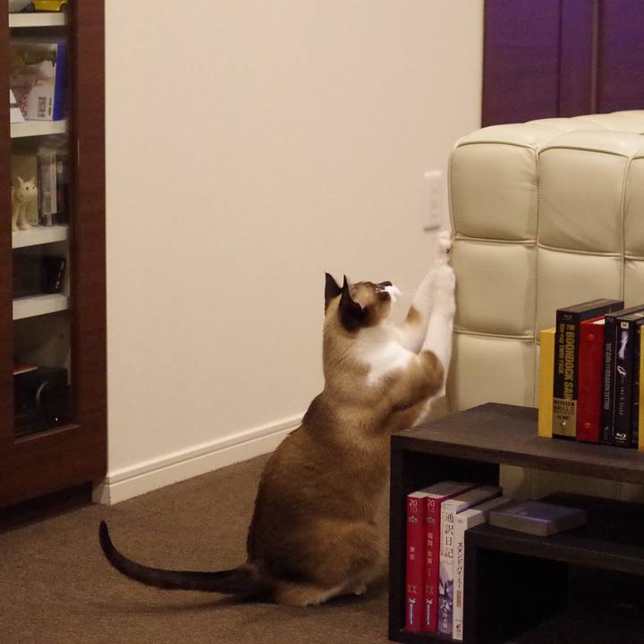 11c5f5c3 4f67 49be 8495 be20c271020d 1520162988369