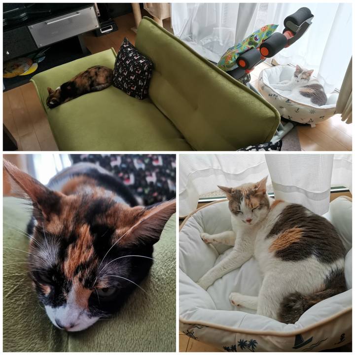 11c5fe46 cdfa 4006 b8ce 112cdb5890bf 1655554169085