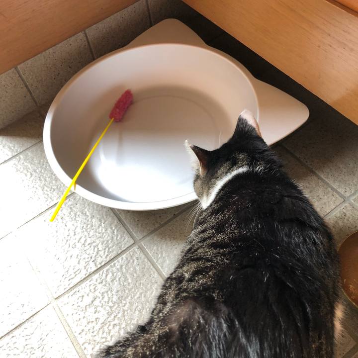 11c678e9 5242 450c 9bdc 313adf7161dc 1566137483531