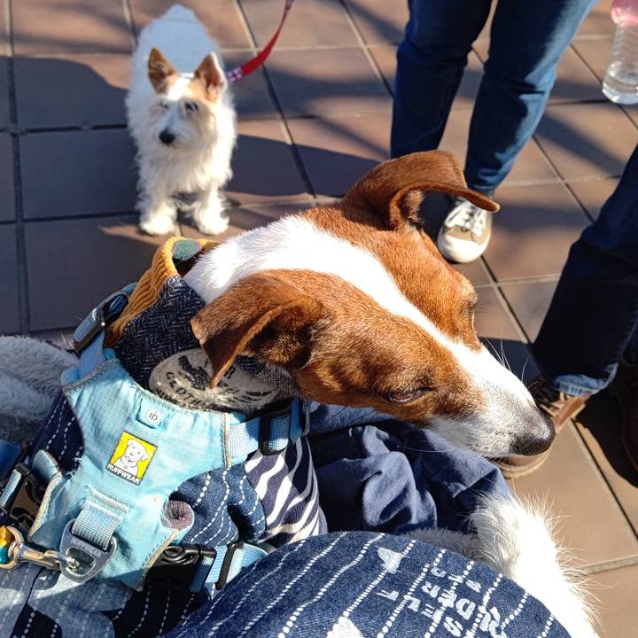 11c6988f b453 40ad 8f1a 2718bd285da6 1679226098464