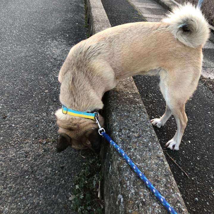 11c6a6c1 41c7 4d23 a17d e07317b28aab 1612008294102