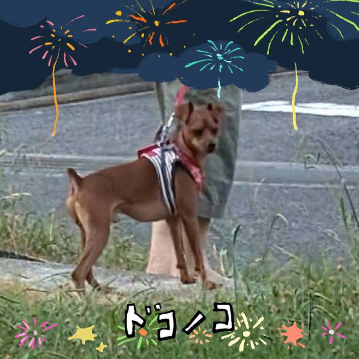 11c6b950 2a9f 410e 8929 ddcdb851828f 1723535649950