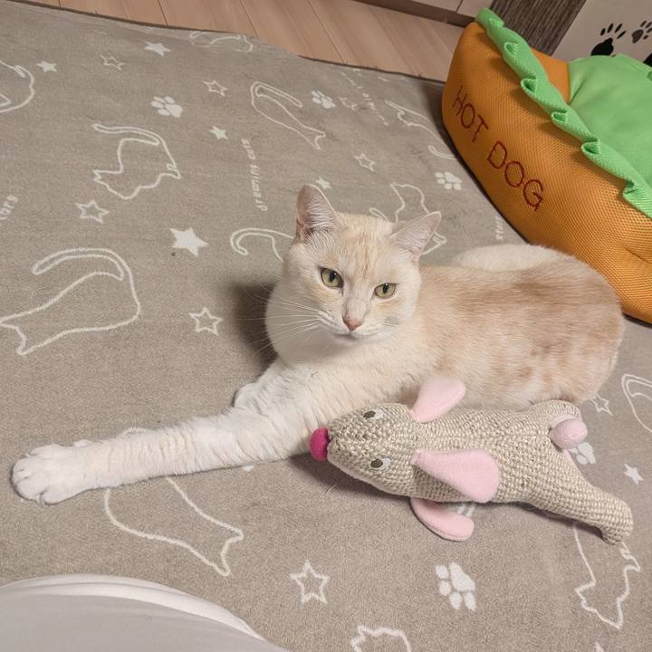 11c6bc7d c60b 48da b4d1 d44dbc148e95 1761035600213