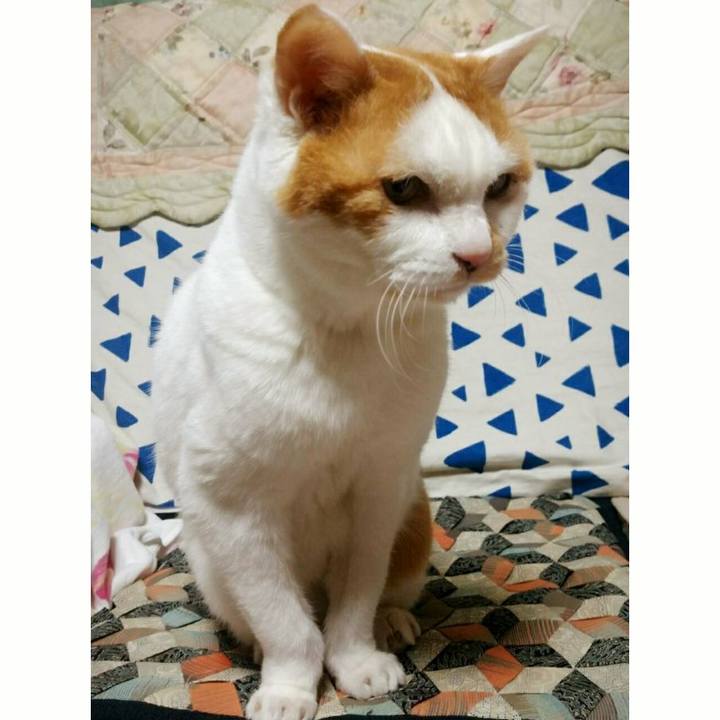 11c6bd77 8c65 445f a489 3e6decc51e11 1515407091117