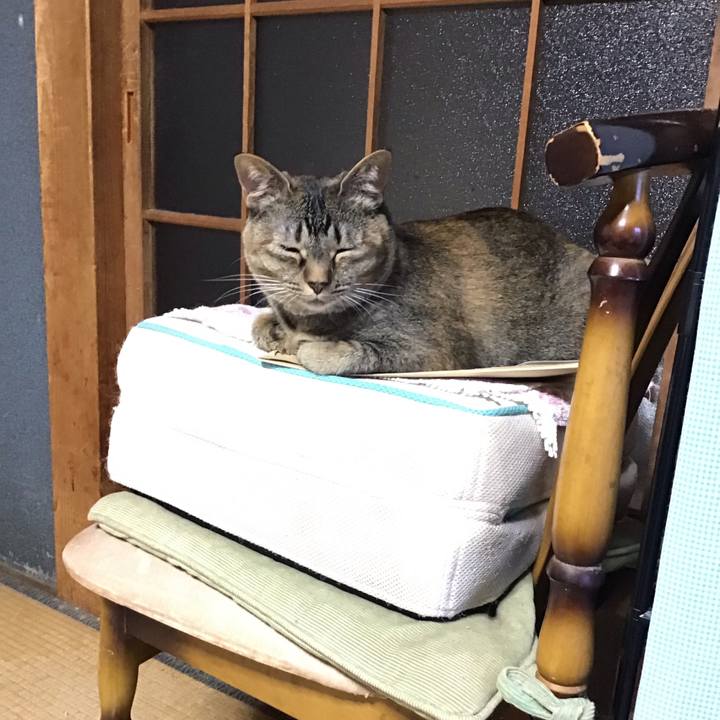 11c6e2d5 6f8b 4618 9207 3a4f04e80ba8 1657107945812