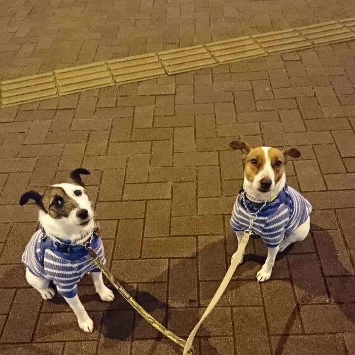 11c70262 7727 4284 b2fb 11b6f22b7451 1581682954429