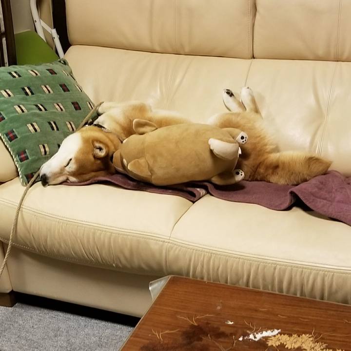 11c7189f 9fb1 4f76 b7c3 372e5a31261c 1523963656492