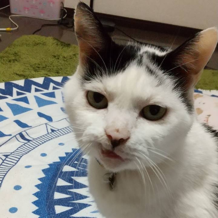 11c77fda 3ed7 4a91 a8ef 55e17e8ac7ca 1699761677146