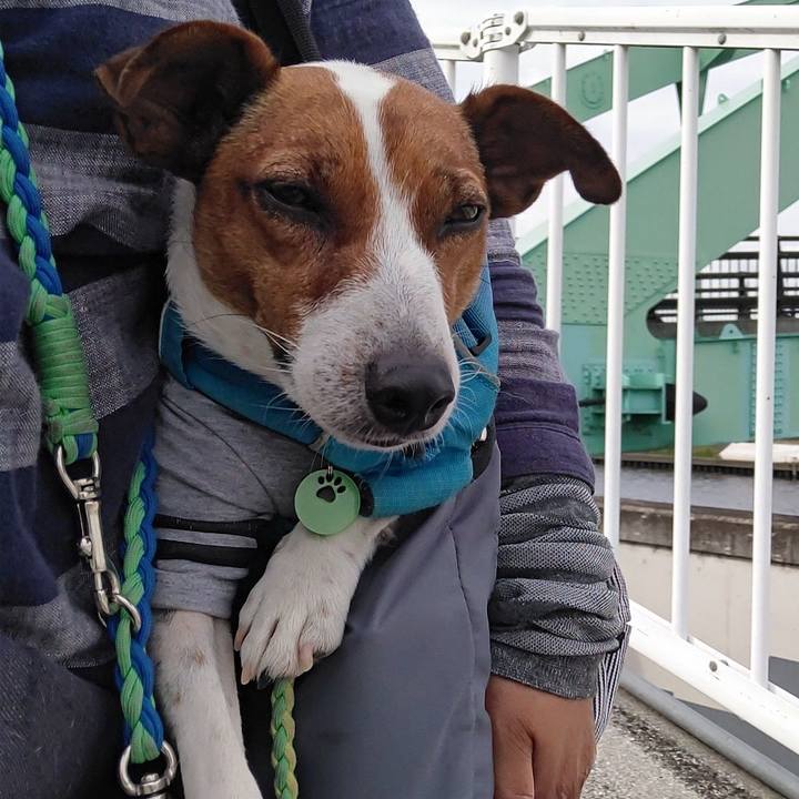 11c7846b f5f4 4749 b835 5cee2f3f5fc0 1622702842239