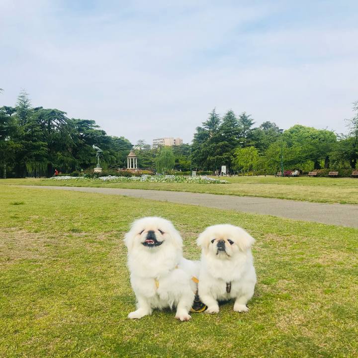 11c7850f 52cb 4e9e af8a 0a8fad024ba4 1619936444726