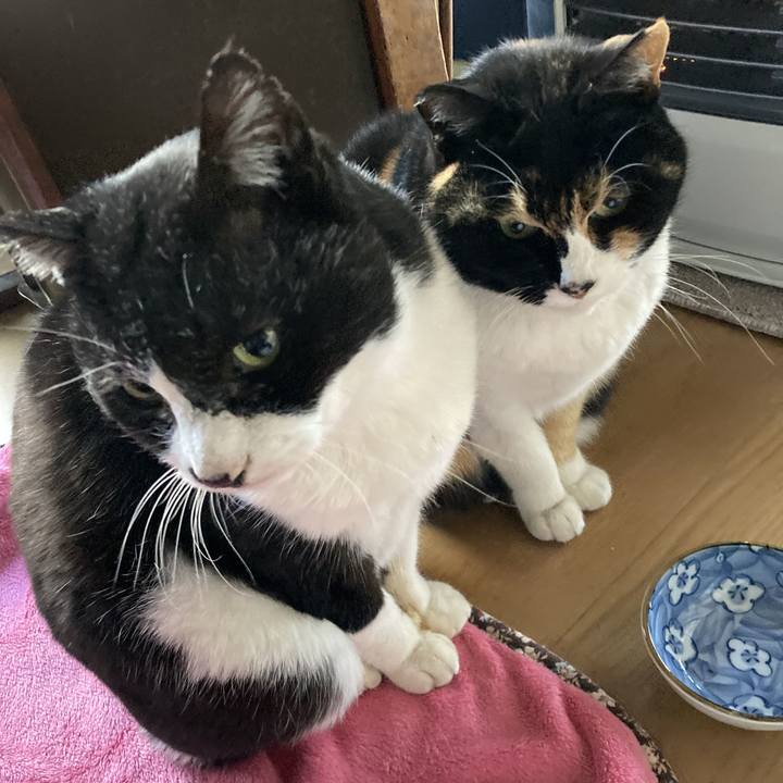 11c7c855 e272 43dc b1e3 ffae5d3747c1 1674946068788