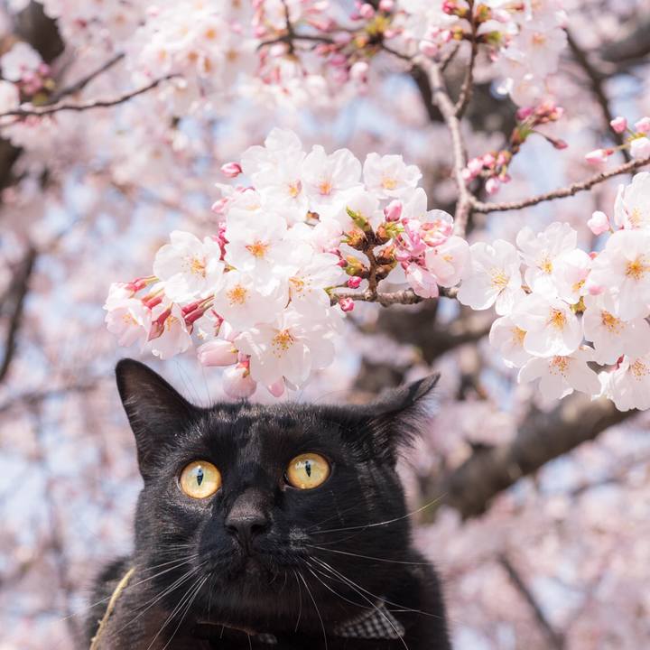 11c7e3cd e242 49c6 9719 470718c6f0a5 1586176376903