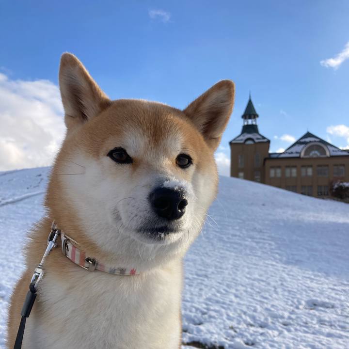 11c81d4f 6cdd 4f66 8728 849d7c32313a 1704765359922