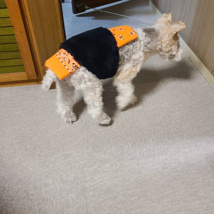 11c84a77 a479 4d3a 8f77 dc7a71dce04a 1671112248357