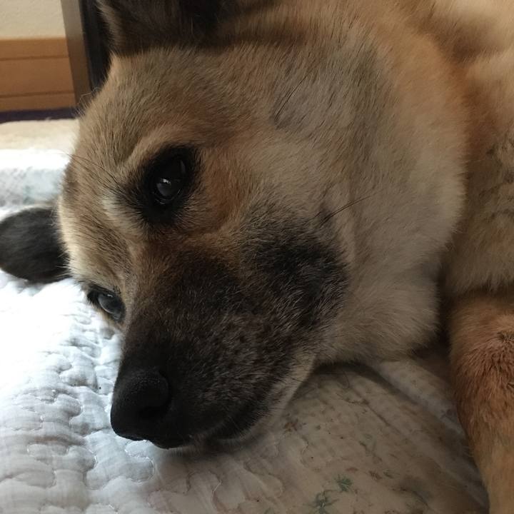 11c867f2 0bc7 4e5c 86ec fbf1edede31d 1530756196746