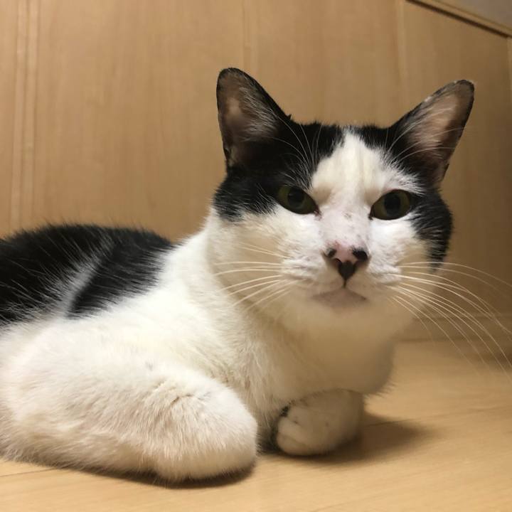 11c87e81 f85c 4b1e 84bc 33ff0167fab7 1557491747522