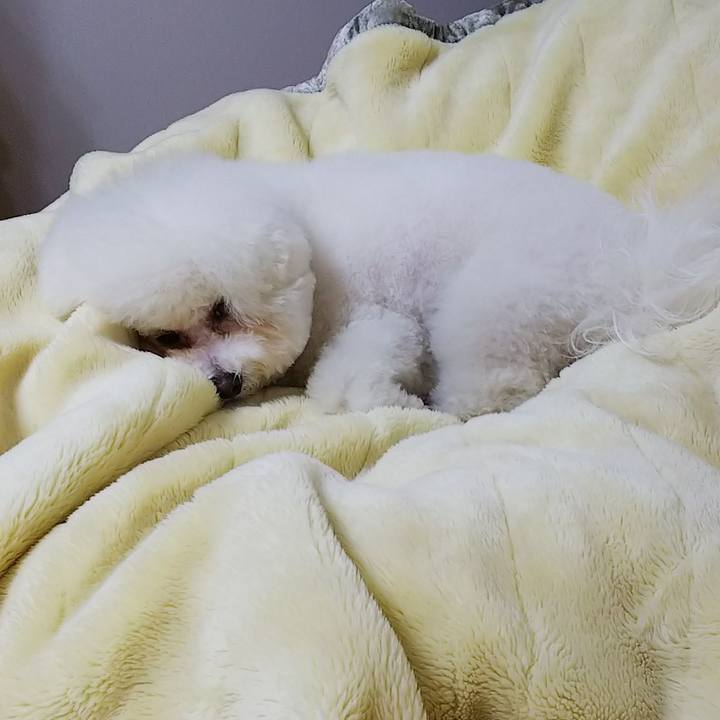 11c888b4 8900 4048 822e 6e175393cf27 1552359925560