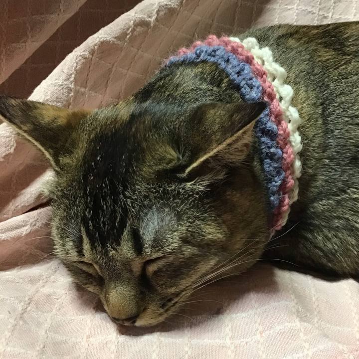 11c8d503 fc14 4e95 949a 0537e4740902 1617271422756