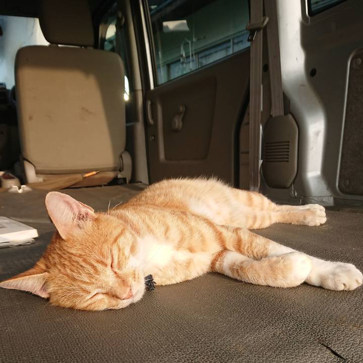 11c8df09 f76d 4b9a a0d5 204c5deefd0c 1564088792211