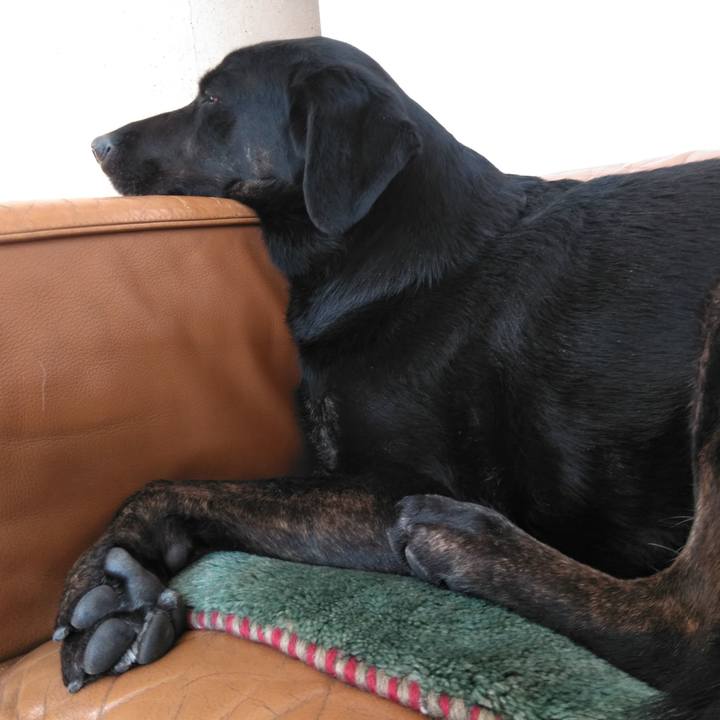 11c8e33a 2c27 4b6b 8b95 617a662fdf26 1584748019081