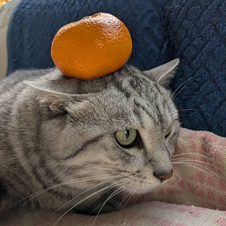 11c8f582 4af6 416d 9d75 71f0ff188a72 1735702165126