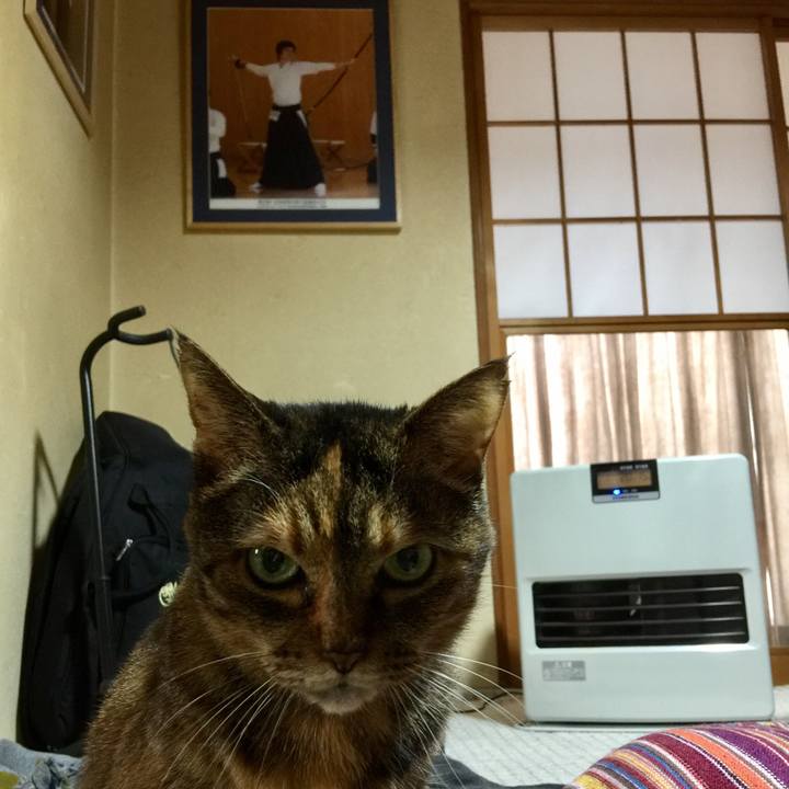 11c90388 9733 493b bded bd6e26d3fec7 1518499705988