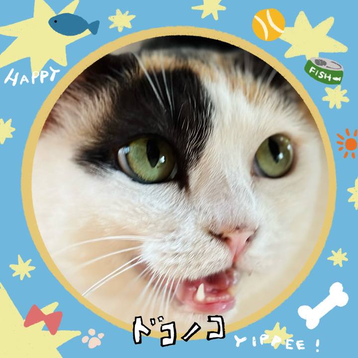 11c9179b a1b7 4dbe a93e 33229a5adb45 1720834036698