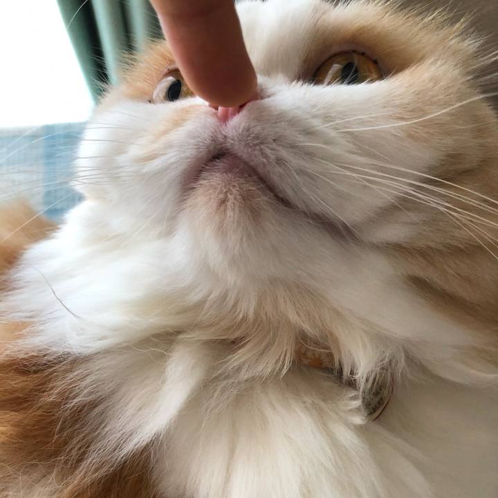 11c9210e 4e65 455f 8c74 fedff50ae059 1597925534917