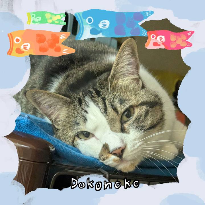 11c932dd e120 4f49 9059 0fb6516935ba 1749297327941