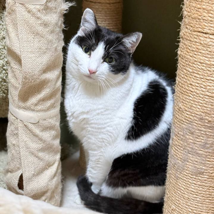 11c94a33 0679 43bc a827 6f60b8d4961f 1767838263436