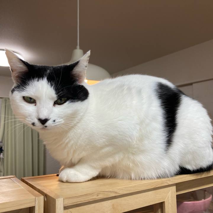 11c97225 e94e 4c74 b089 ef23c887253d 1772053053782