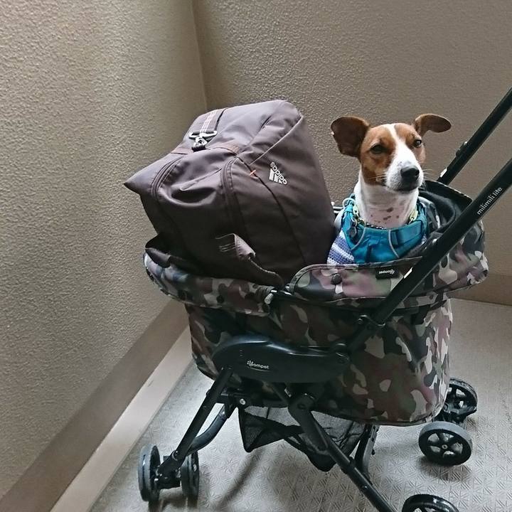 11c97c98 3933 402b 86a4 13b33085cc71 1573439980183