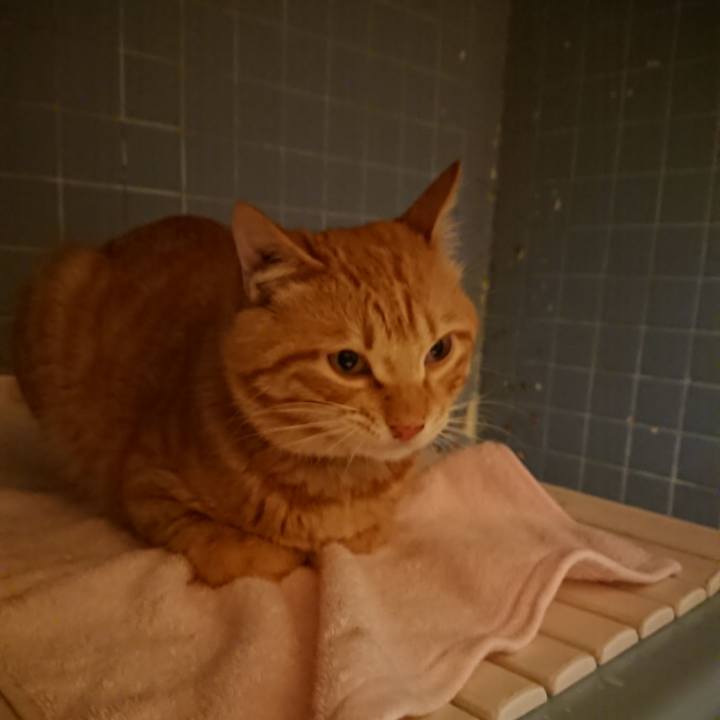 11c9e266 94eb 4f8b 9ea6 8e42c5e1245b 1642931803634