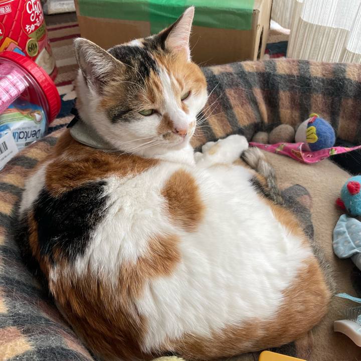 11cac9ef b96b 4487 8b70 5ae52231338c 1679367142954