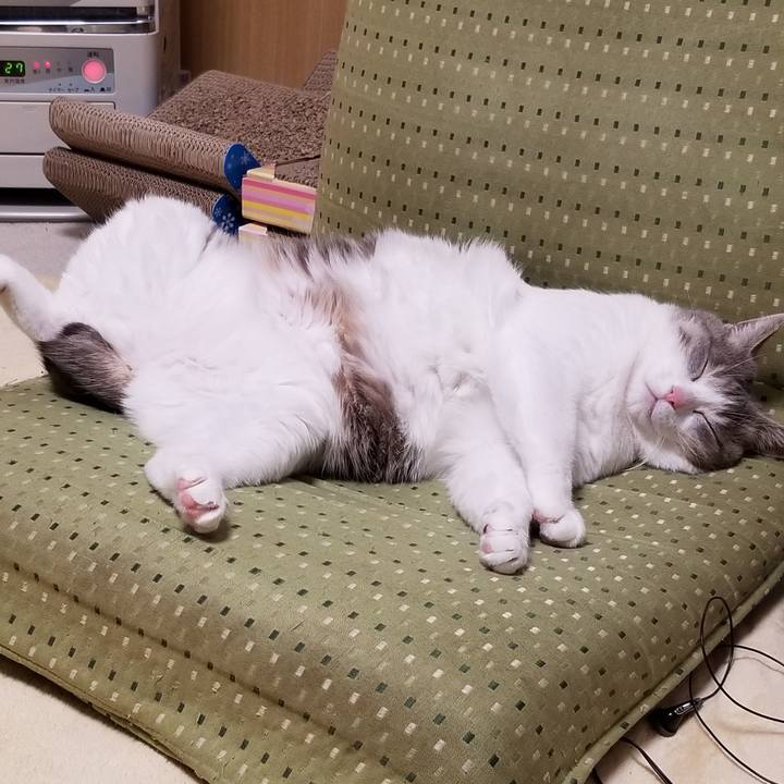 11cae618 66b6 4c56 a11f 32ff116898e9 1608467063595