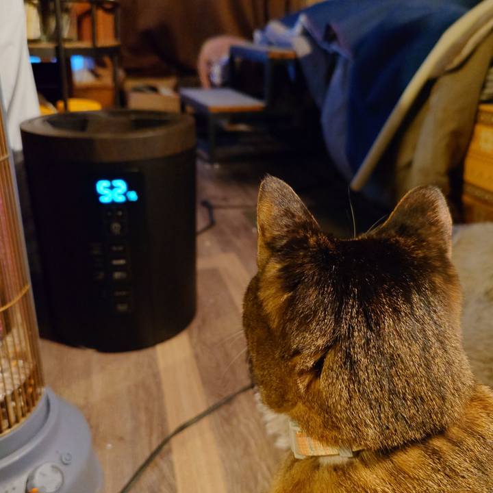 11caed57 28a4 483a b680 e18ccc3b9819 1766129773224