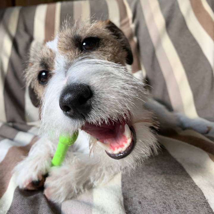 11cb059f 5bcd 4042 a152 6873f7d064df 1577771703512