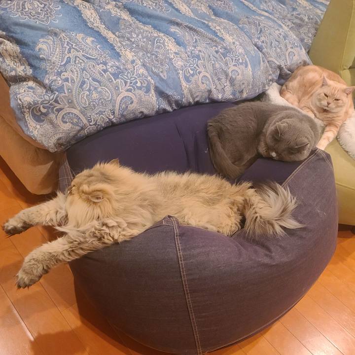 11cb1969 1dac 40e6 af0b 1f5b172c9b13 1675033352302