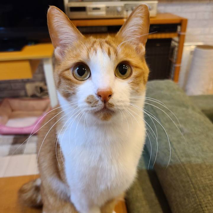 11cb4514 560c 4119 b766 ff436e3c7837 1622131733797